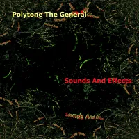 Polytone The General